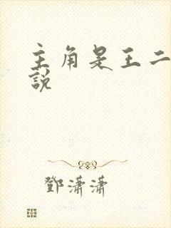 主角是王二的小说