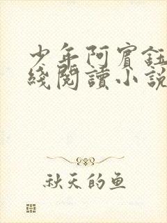 少年阿宾钰慧在线阅读小说txt