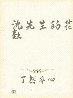 沈先生的花式调数