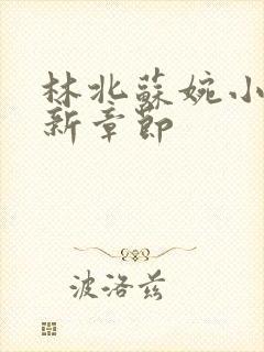 林北苏婉小说最新章节