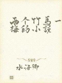 两个竹马一个青梅的小说