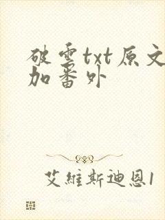 破云txt原文加番外