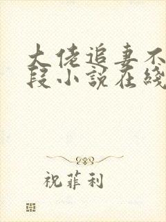 大佬追妻不择手段小说在线阅读封面