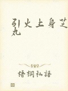 引火上身芝麻糖丸