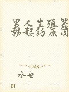 男人生殖器无法勃起的原因