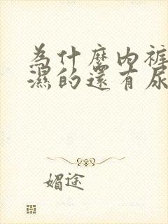 为什么内裤总是湿的还有尿味封面