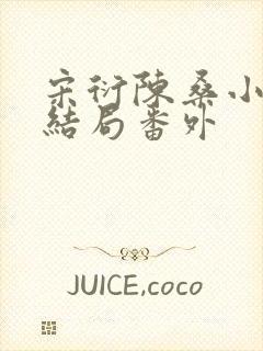 宋衍陈桑小说大结局番外