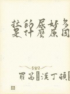 拉的尿好多泡泡是什么原因