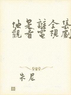 他是谁全集免费观看电视剧高清封面