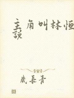 主角叫林恒的小说