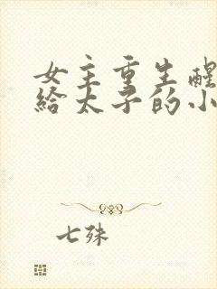 女主重生醒悟嫁给太子的小说封面