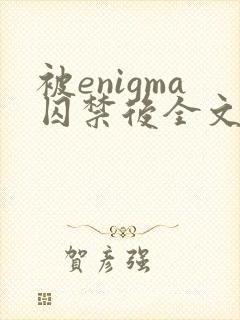 被enigma囚禁后全文免费阅读封面