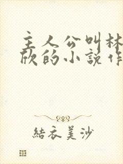 主人公叫林峰宁欣的小说作者赵小二