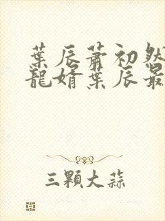 叶辰萧初然上门龙婿叶辰最新章节封面