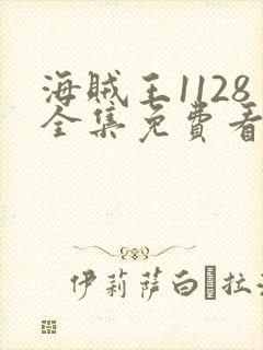 海贼王1128全集免费看