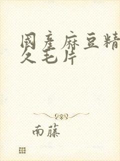 国产麻豆精品久久毛片