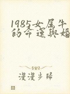1985女属牛的命运与婚姻