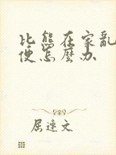 比熊在家乱拉大便怎么办