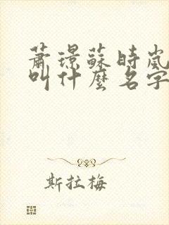 萧璟苏时岚小说叫什么名字啊封面