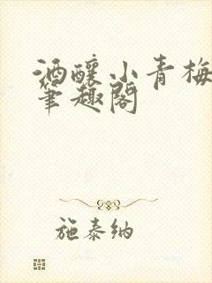 酒酿小青梅po笔趣阁