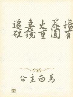 追妻火葬场po破镜重圆有点虐