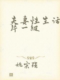 夫妻性生活黄色片一级