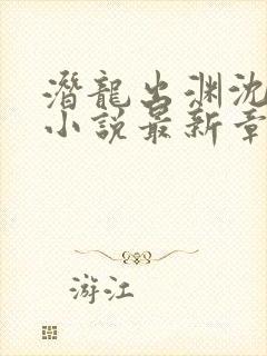 潜龙出渊沈欣妍小说最新章节封面