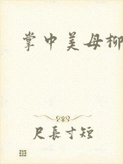 掌中美母柳玉茹封面