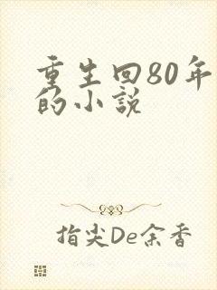 重生回80年代的小说封面