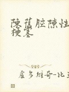 陈旧腔隙性脑腔梗塞封面