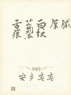 舌苔白厚腻有齿痕裂纹封面