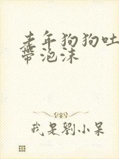 老年狗狗吐黄水带泡沫