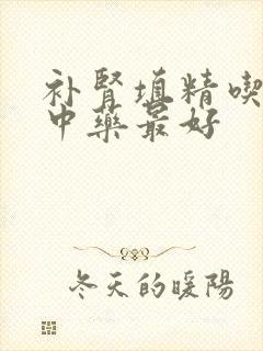 补肾填精吃什么中药最好