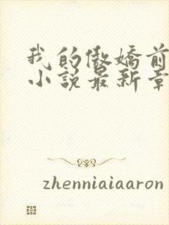 我的傲娇前男友小说最新章节封面