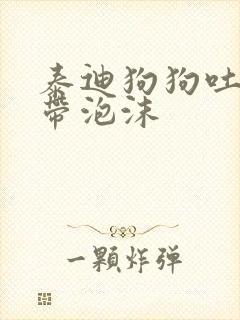 泰迪狗狗吐黄水带泡沫封面