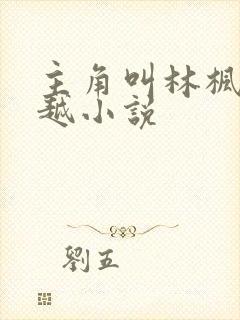 主角叫林枫的穿越小说