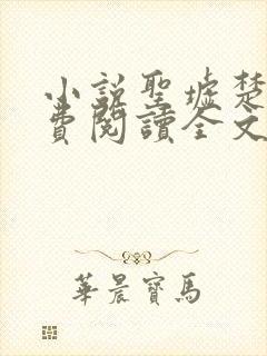 小说圣墟楚风免费阅读全文