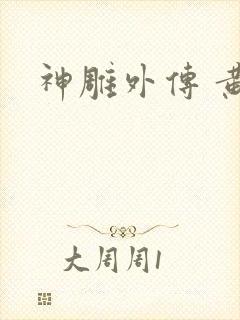 神雕外传 黄蓉封面