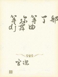 等你等了那么久dj舞曲