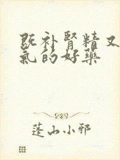 既补肾精又补肾气的好药