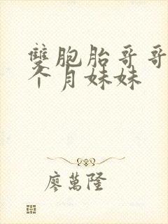 双胞胎哥哥抱二个月妹妹封面