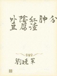 外阴红肿分泌物豆腐渣