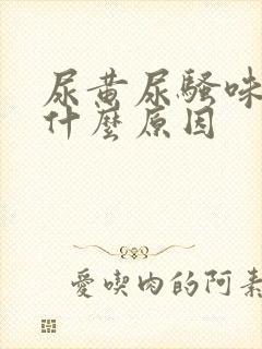 尿黄尿骚味重是什么原因