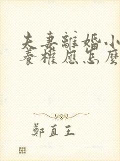 夫妻离婚小孩抚养权应怎么判