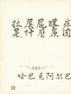 拉屎屁眼疼出血是什么原因