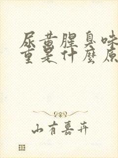 尿黄腥臭味特别重是什么原因