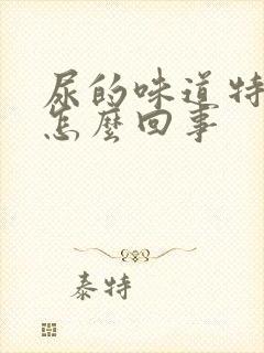 尿的味道特别大怎么回事