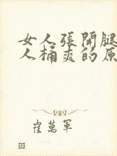 女人张开腿让男人桶爽的原文