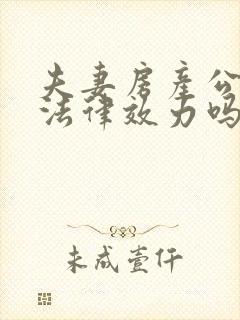 夫妻房产公证有法律效力吗