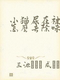 小猫尿在被子上怎么去除味道